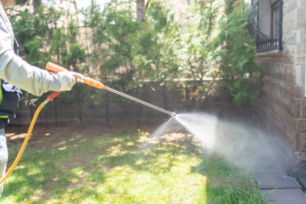 Best Insect Control  in Caoncito, NM